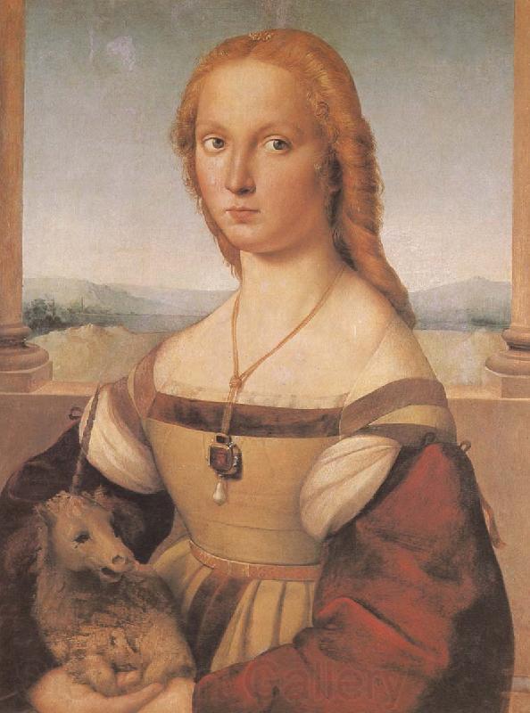 RAFFAELLO Sanzio Portrait of younger woman Norge oil painting art